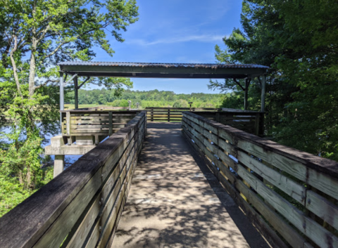 You Can See As Many As 400 Geese From This Mississippi Overlook     