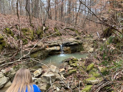 This Secluded Trail In Louisiana Leads To A Hidden Waterfall