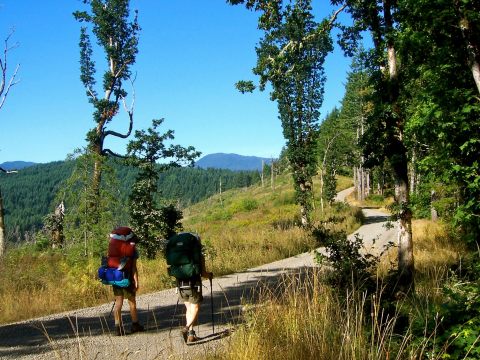 50 Years In The Making, The Corvallis-To-The-Sea-Trail Just Opened - And It's An Epic Oregon Adventure