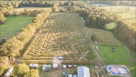 The Cajun Country Corn Maze In Louisiana Is A Classic Fall Tradition