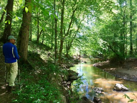 North Carolina's Most Beautiful River Hike Follows Along The Haw, A Thrilling And Scenic River