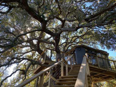 Spend The Night Stargazing In A Treehouse Near St. Cloud, Florida