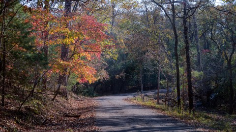 Fall Is The Perfect Time To Visit This Historic East Texas Town