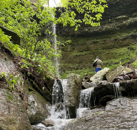 Highway 123 Falls Is A 47-Foot Waterfall In Arkansas That You Can Practically View From Your Car