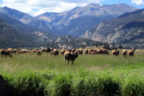 Rocky Mountain National Park Named One Of The Best National Parks In The Country In 2021