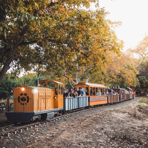 A Visit To Bishop's Pumpkin Farm In Northern California Is A Classic Fall Tradition