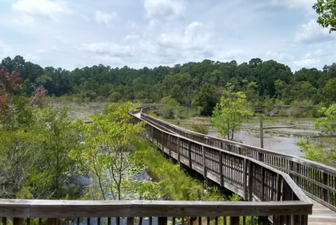 Enjoy Endless Scenery Along The Easy Breezy 1.5 Mile Restoration Park Trail In Louisiana