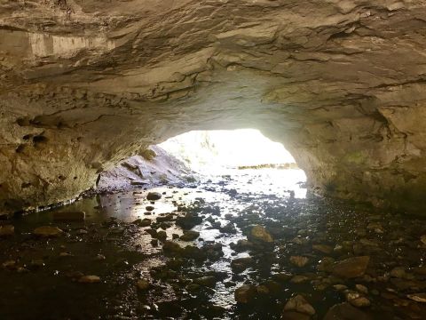 Walk Through Rock Formations At Missouri's Rock Bridge Memorial State Park