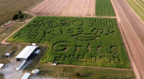 Get Ready For Some Good Old Fashioned Farm Fun At Dixie Maze In Louisiana