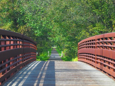 There's Nothing Quite As Magical As The Tunnel Of Trees You'll Find On The Cannon Valley Trail In Minnesota