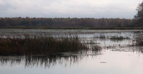 Escape To Mosquito Creek For A Beautiful Northeast Ohio Nature Scene