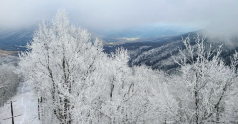 Frozen Head State Park Is The Perfect Place To Go For A Hike On A Chilly Tennessee Day