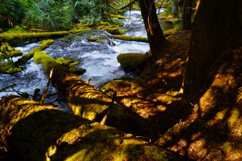 The Waterfall At The End Of The Downing Creek Trail In Oregon Is Truly Something To Marvel Over