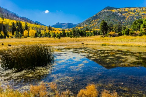 Fall Is The Perfect Time To Visit This Historic Mountain Town In Arizona