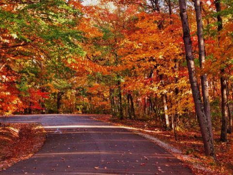 Hardin Ridge Trail Is One Of The Best Hikes In Indiana For Leaf-Peepers