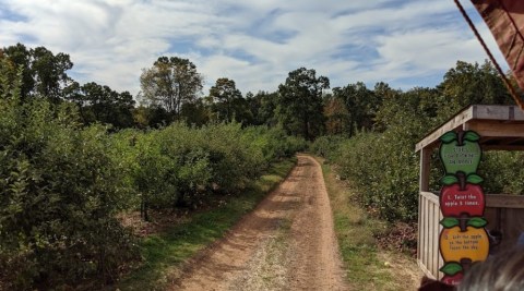 Pick Your Own Apples At The Delightful Karabin Farms In Connecticut