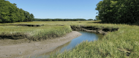 For Unique And Beautiful Estuary Views, Take The 1.8-Mile Cutts Island Trail In Maine