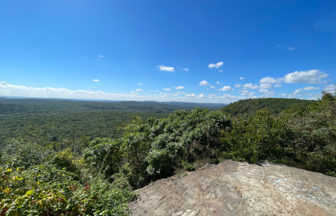 Hike Through A Forest, Past A Lake, And Up To Stunning Views On This New Jersey Trail