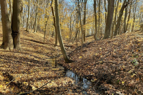 This Easy Fall Hike In New Jersey Is Under 2 Miles And You'll Love Every Step You Take