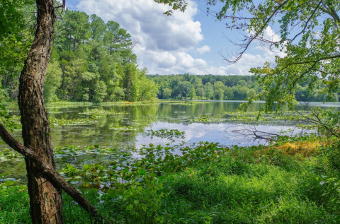 Discover A Pristine Paradise When You Visit Illinois' Lake Glendale