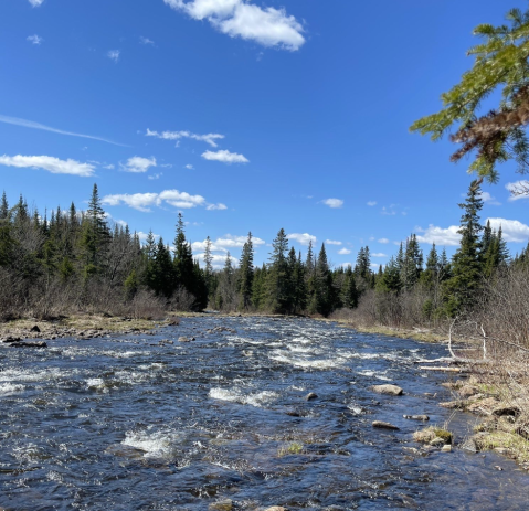 With River Views And Wetlands, This New Hampshire Trail Offers A Journey Through The Most Beautiful Landscape