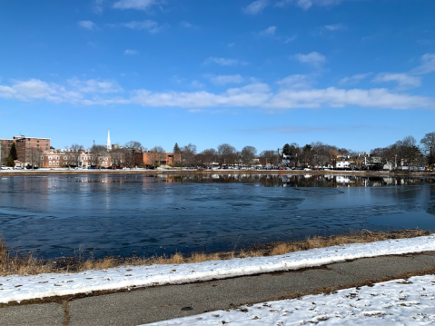 South Mill Pond Dog Park Is A Unique Dog-Friendly Destination In New Hampshire Perfect For An Outdoor Adventure