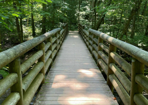 This All-Day Hiking Adventure In Virginia Will Lead You To A Stunning Waterfall And Canyon Overlook