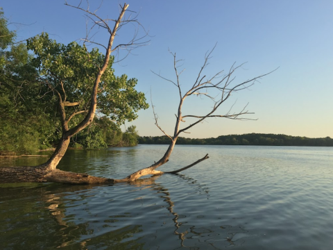 Few People Know You Can Walk To Big Island Island In Minnesota