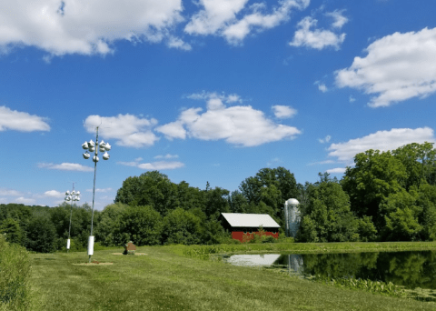 South Of Cleveland, Oenslager Nature Center Is A Destination That's Pure Magic