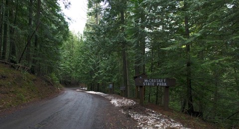 There's Nothing Quite As Magical As The Tunnel Of Trees You'll Find At McCroskey State Park In Idaho