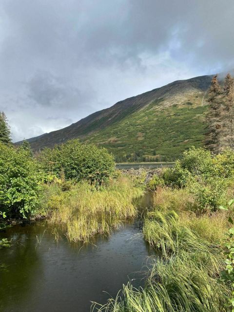 See The Leaves Change Along The Fuller Lakes Trail In The Kenai National Wildlife Refuge In Alaska