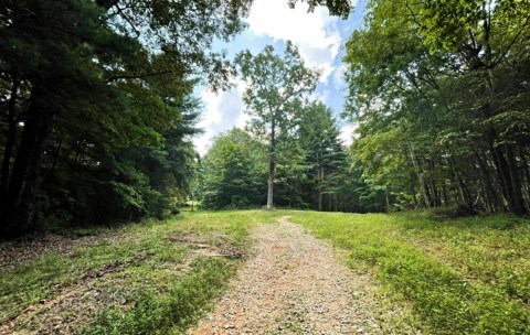 Cartecay River Loop In Georgia Was One Of The First Mountain Biking Trails In The State - And It’s Still A Rugged Ride