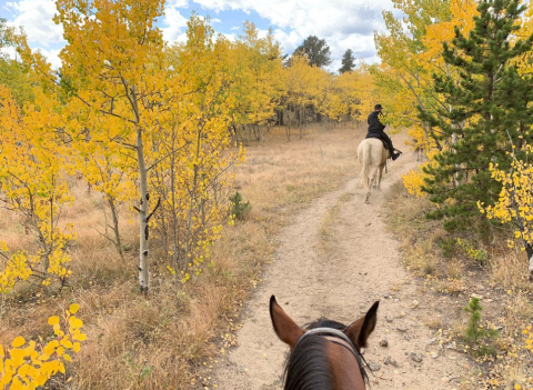 Take A Fall Foliage Trail Ride On Horseback At A&A Historical Trails In Colorado