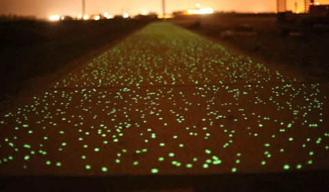 An Iowa Trail With 3,000 Pounds Of Solar Powered Rocks Is America's Longest Glow-In-The-Dark Trail