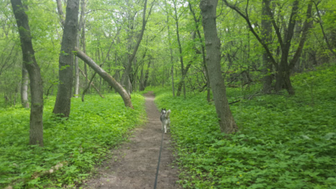 The Sica Hollow Trail Of The Spirits In South Dakota Is One Of The Scariest Haunted Hikes In The U.S.