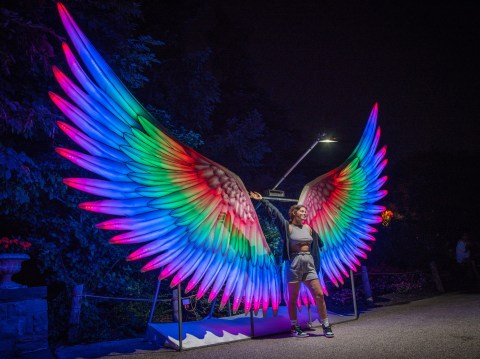 A Larger-Than-Life Light Experience Is Coming To Arkansas This Winter