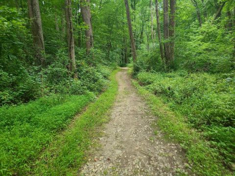 Hike To A Cave And An Abandoned Mine Hiding In The Forest In Pennsylvania