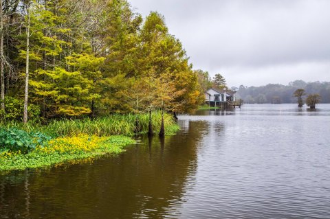 A Day At Chicot State Park Is An Inexpensive Road Trip Destination In Louisiana That's Affordable