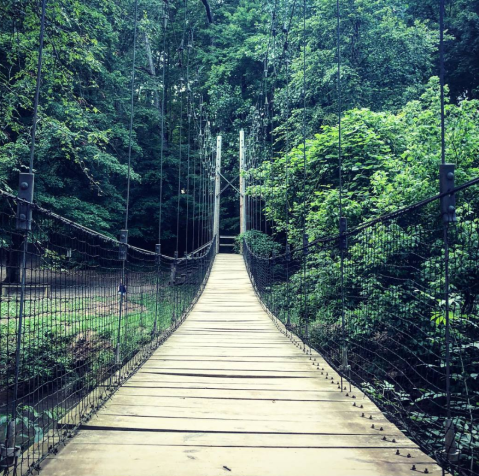 Spend The Day Exploring These Three Swinging Bridges In South Carolina