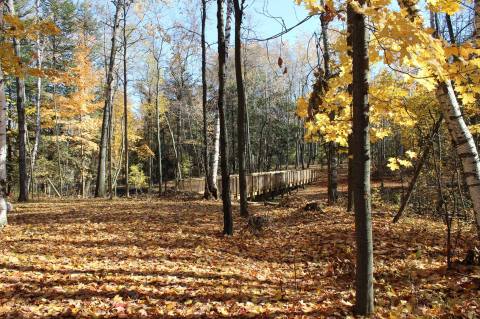 The One-Of-A-Kind Trail In Michigan With Boardwalks And Bridges Is Quite The Hike