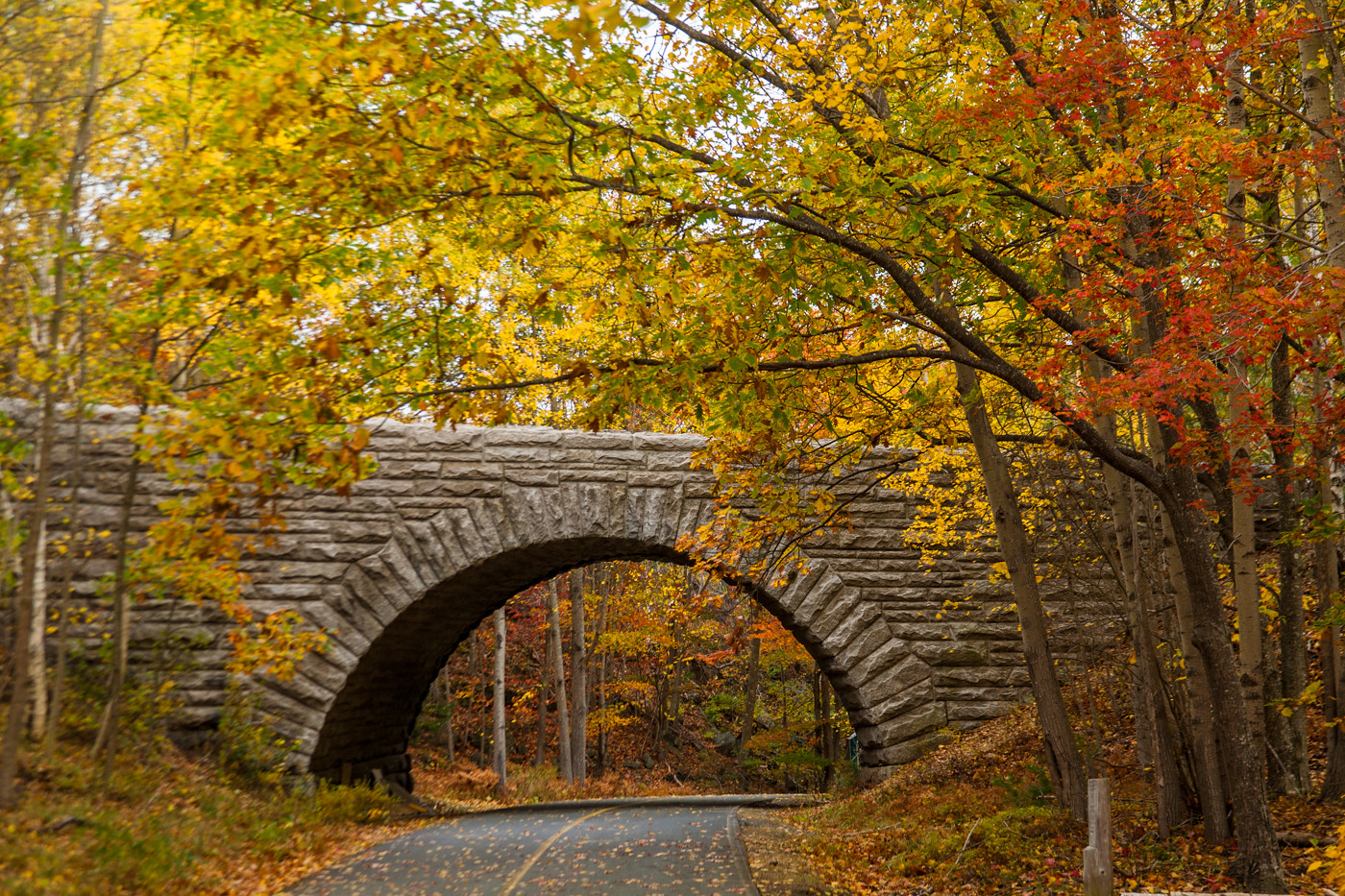 Maine banner image