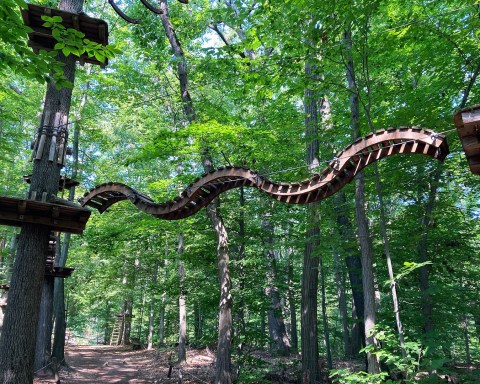 The Longest Elevated Canopy Walk In Connecticut Can Be Found At Empower Adventure Park