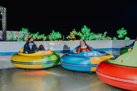 Bumper Cars On Ice Is Coming To Maryland And It Looks Like Loads Of Fun