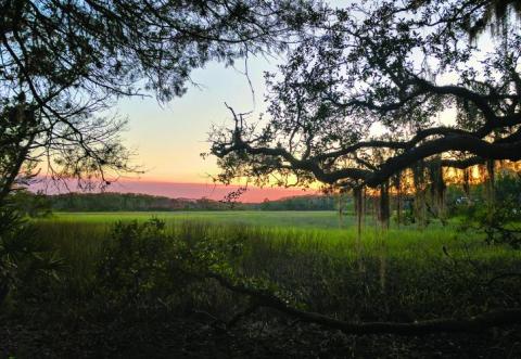 Little Talbot Island Is An Easy Hike In Florida That Takes You To An Unforgettable View