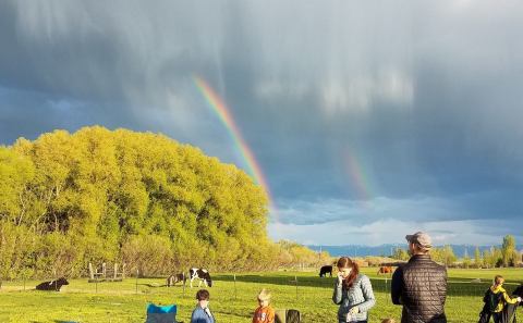 You'll Never Forget A Visit To Serenity Sheep Farm, A One-Of-A-Kind Farm Filled With Baby Sheep In Montana