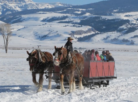 Visit The National Elk Refuge This Winter In Wyoming For Sleigh Rides And Wildlife Spotting