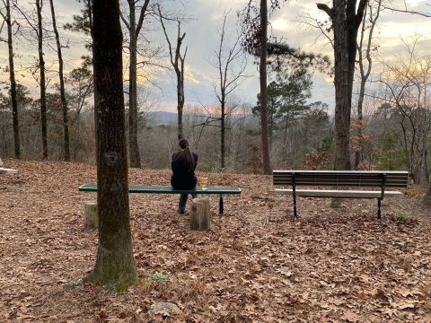 The Little-Known Mountain Top View In Louisiana You Can Only Reach By Hiking This 1-Mile Trail