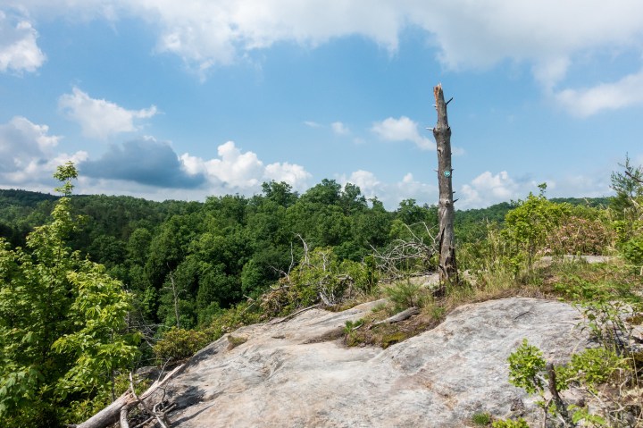 Pickett CCC Memorial State Park TN - Overlook