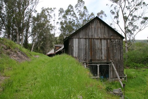 A Mysterious Woodland Trail In Northern California Will Take You To Burleigh H. Murray Ranch Ruins