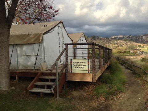 Spend The Night At A Safari Park In Southern California For An Amazing Sleepover Adventure